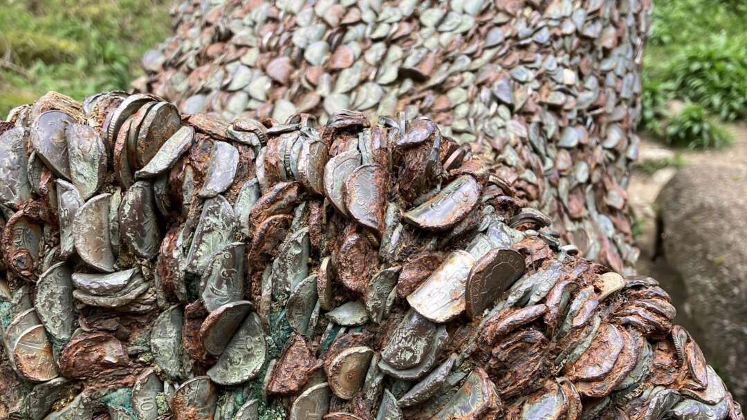 Moneytree