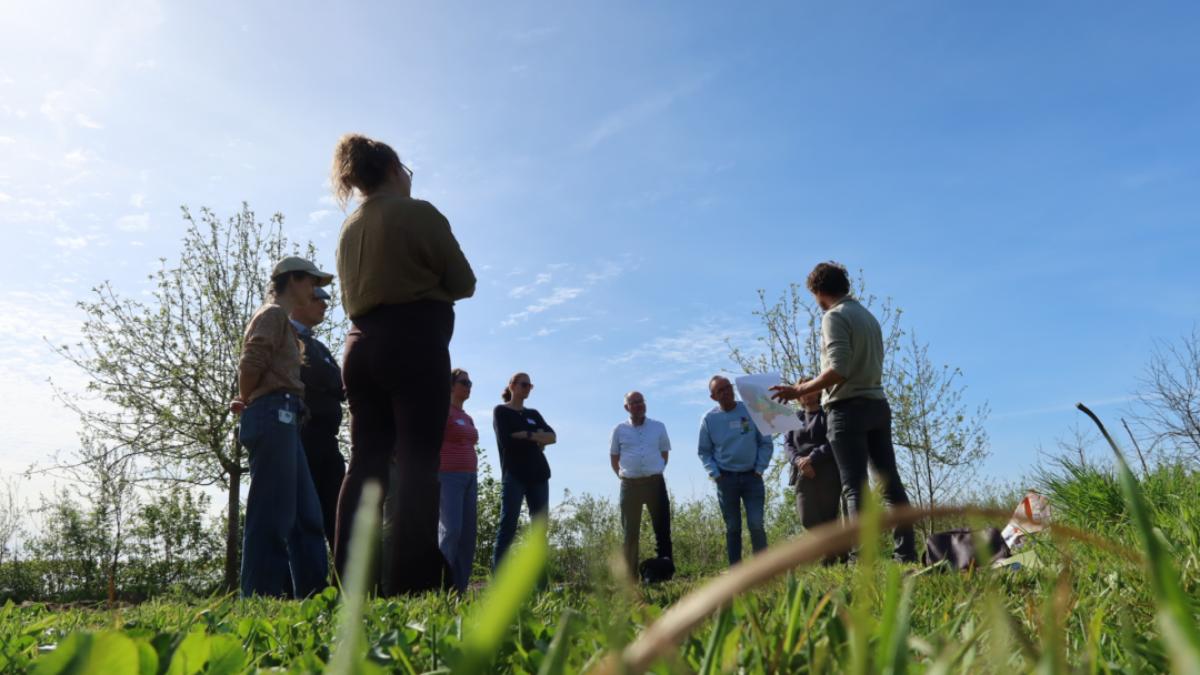 WUR kunst natuur2