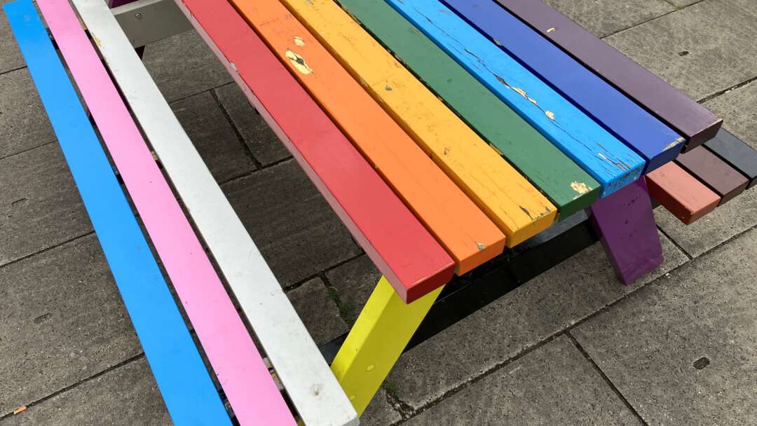 Diversiteit inclusiviteit gelijkwaardigheid 2160