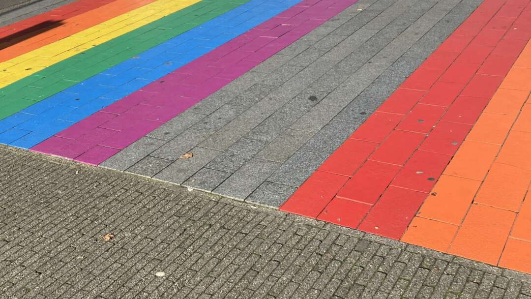 Regenboog trottoir den bosch 2