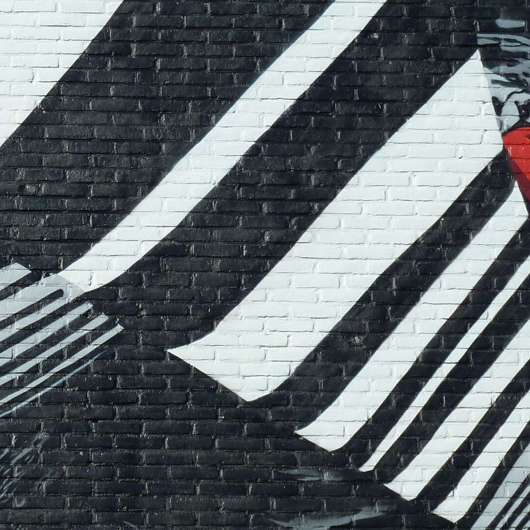 Detail zwart wit rode appel