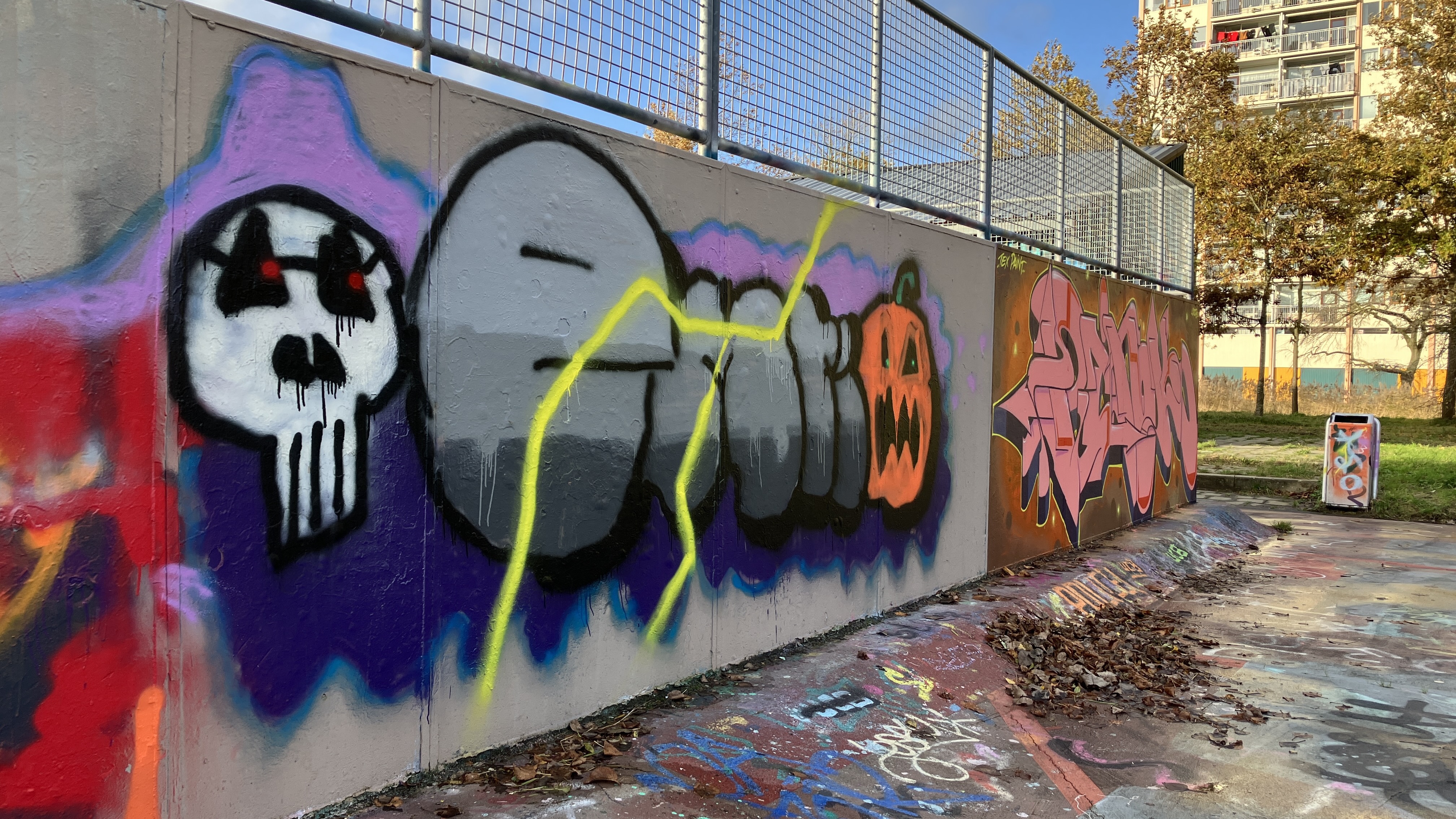 Graffiti skatebaan goes zuid november 2023 2